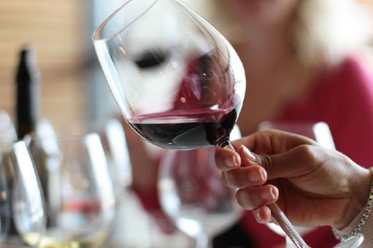 mirtha_noceda_wine_vino_cata_2017_tasting